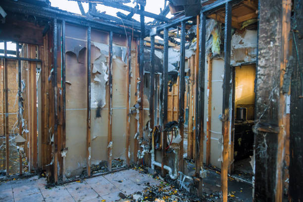 Professional Smoke Damage Removal technician working in East Brady, PA